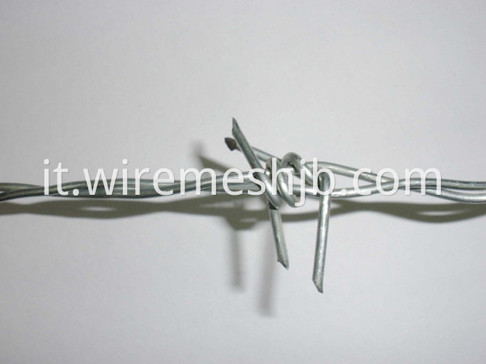 Galvanized Barbed Wire